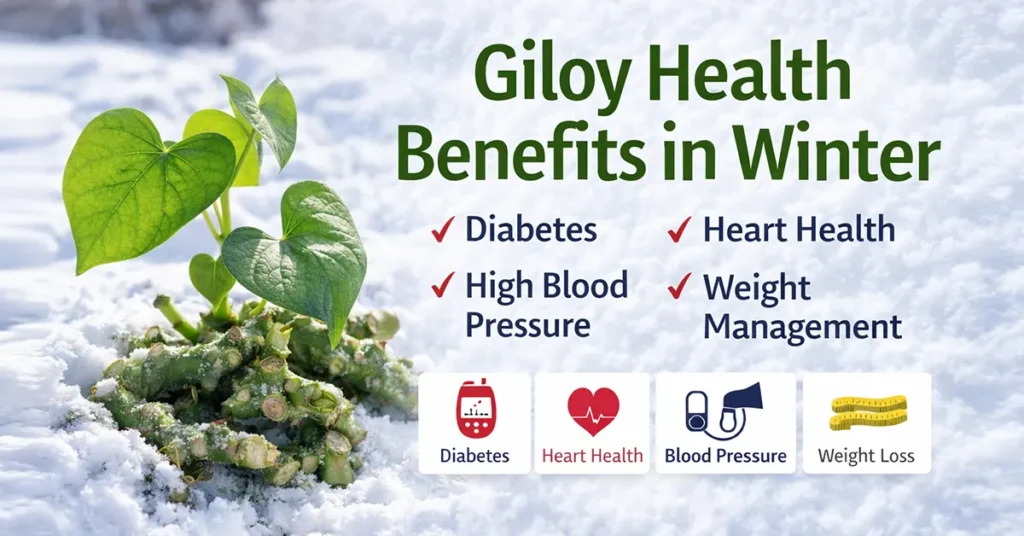 new life after bypass surgery with ayurveda giloy health benefits in winter