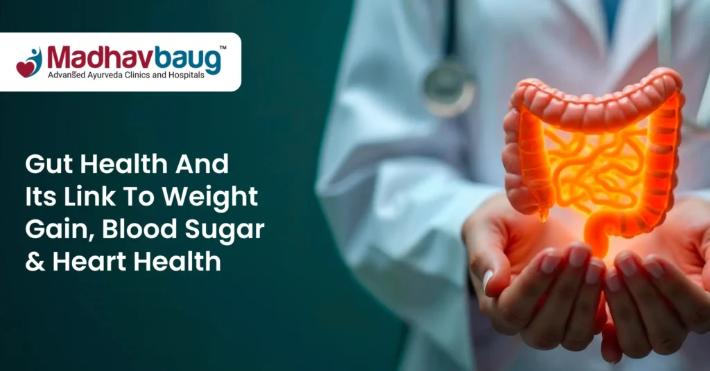 gut health and Its link to weight gain blood sugar and heart health