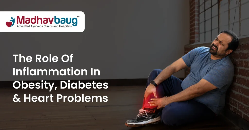 role of inflammation in obesity, diabetes and heart problems